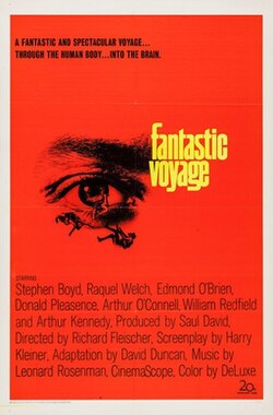 Fantastic Voyage Review: A Feast for the Eyes, But How About the Story?